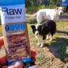 Raw protein Bar