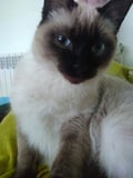 jessvv @jessvv profile image