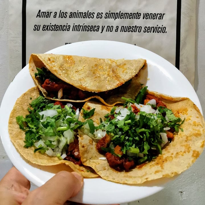 photo of Vegetal Roma Tacos shared by @anzengreen on  31 May 2021 - review