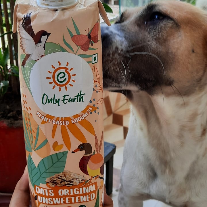 photo of Only Earth Oats Original Unsweetened shared by @anweshagoel on  03 Nov 2021 - review