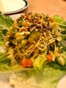 Bodhi Tree Cafe