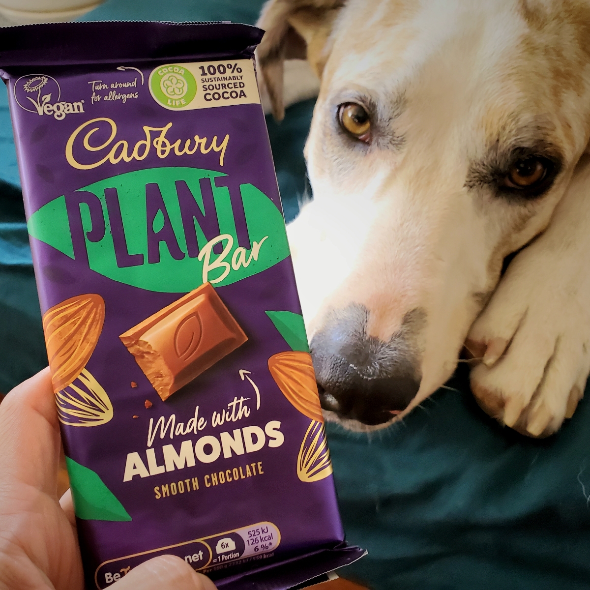 Cadburys Plant Bar from Cadbury - Vegan Product Reviews & Ratings ...