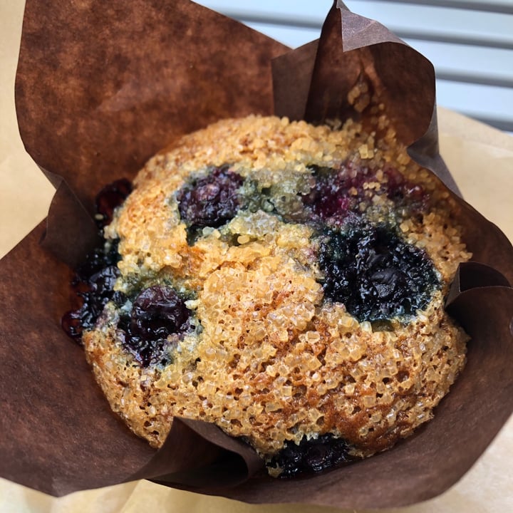 review photo of Small Point Café blueberry muffin shared by @kaleighk on 15 May 2021 - review