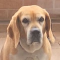 lisa98 @lisa98 profile image