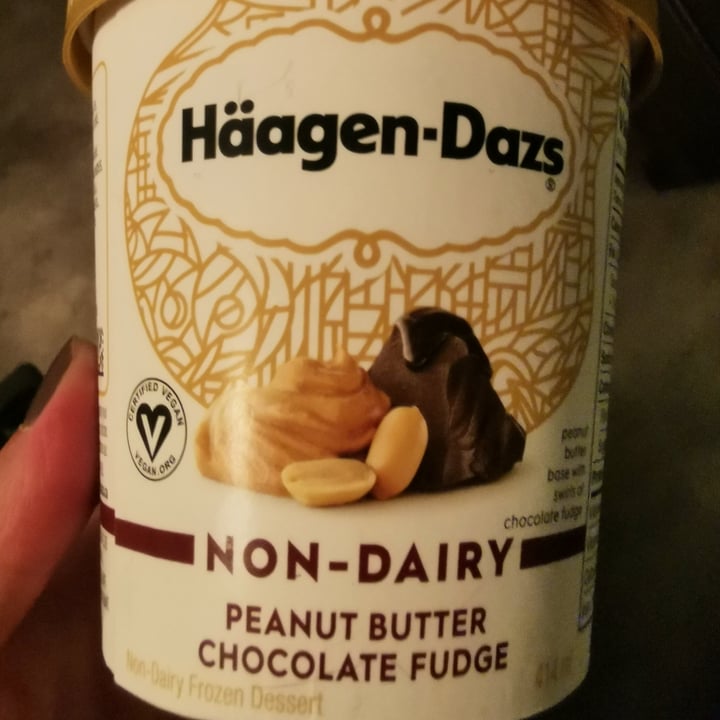 photo of Häagen-Dazs Peanut Butter Chocolate Fudge shared by @virginieparenteau on  21 Sep 2021 - review