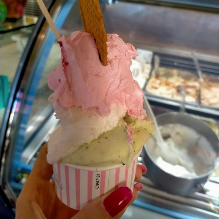 photo of gelateria Kremmy Gelato Basilico E Lime, Cocco E Panna Rosa shared by @masaya90 on  15 Jun 2022 - review
