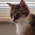sarge311 @sarge311 profile image