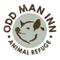 @oddmaninn profile image