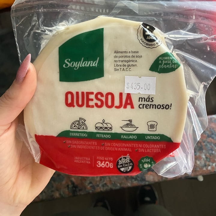 photo of SoyLand Queso de soja/quesoja shared by @solagosttinacappella on  01 Nov 2022 - review