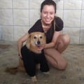 jamillecpvieira @jamillecpvieira profile image
