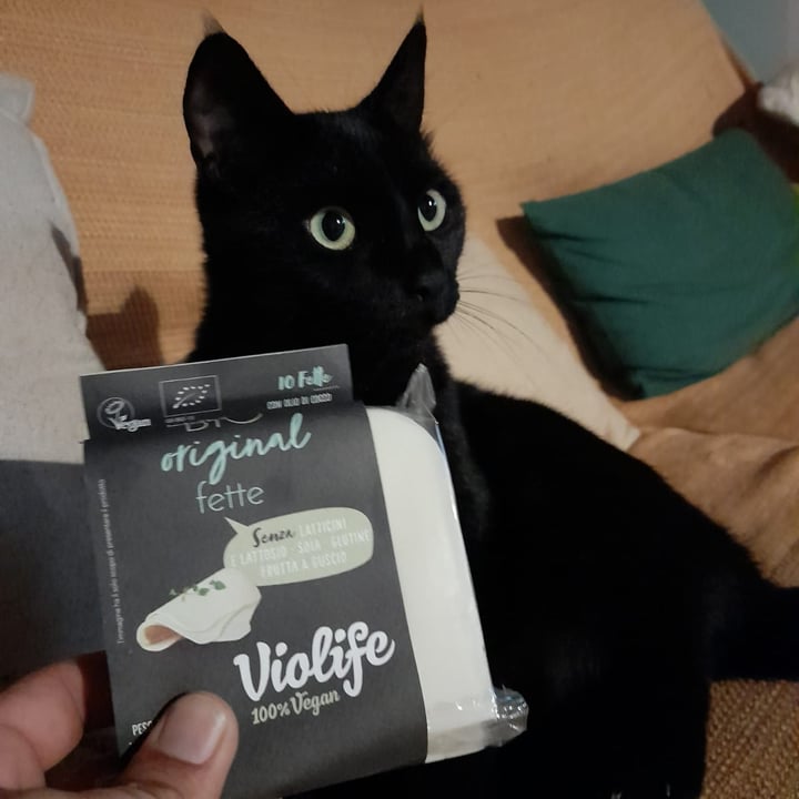 photo of Violife Original Fette shared by @giuliacarosio on  28 Aug 2021 - review