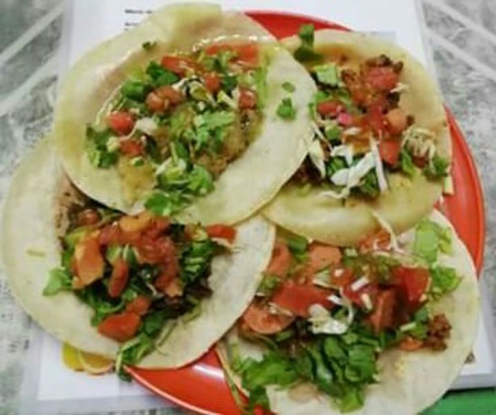 photo of Gopals Tacos De Guisados shared by @koosh on  12 Dec 2019 - review