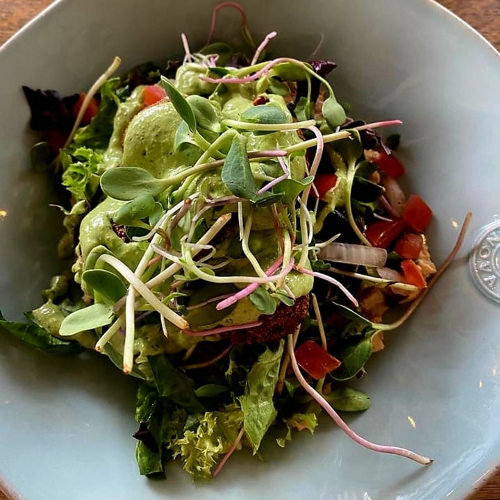 photo of Fresh Earth Food Store Falafel Hummus Bowl shared by @dj-ives on  10 Oct 2022 - review