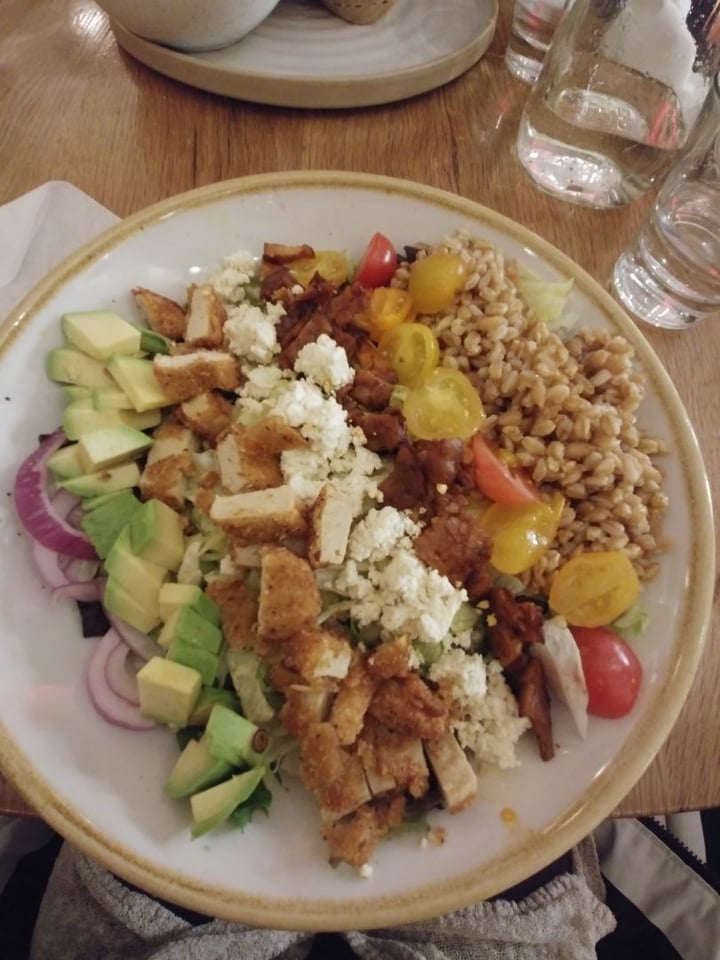 photo of Fresh on Front Cobb Salad shared by @lunatoon17 on  28 Feb 2020 - review
