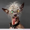 @hajotbe profile image