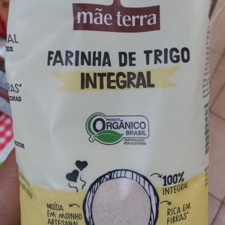 photo of Mãe Terra Farinha de trigo integral shared by @jessilobato on  28 Dec 2021 - review