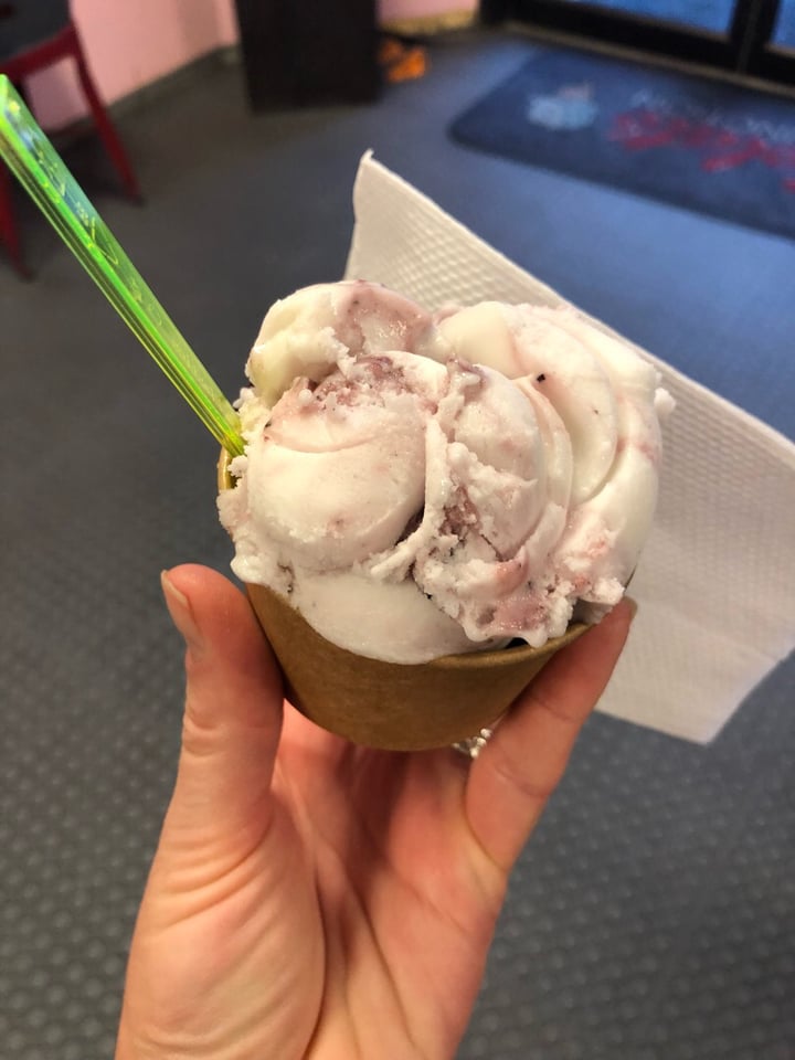 review photo of Gelato Junction Berry swirl shared by @badassvegangrrl on 18 Aug 2019 - review