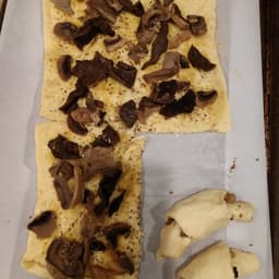 The Wild Mushroom Company