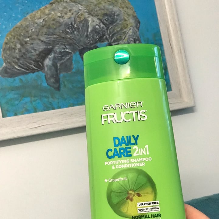 review photo of Garnier Daily Care 2 in 1 vegan formula shared by @veganlibrarian on 29 Dec 2021 - review