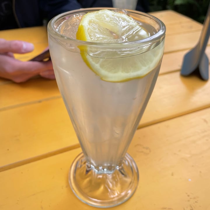 photo of Fat Vegan Limonada shared by @michellemurci on  15 Sep 2022 - review
