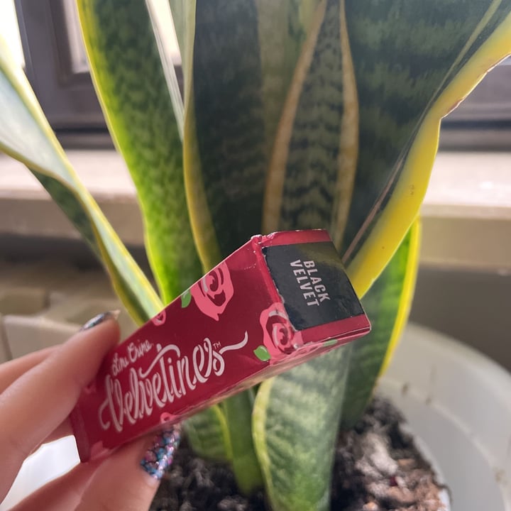 photo of Lime Crime Velvetines black Velvet shared by @vegnarok on  12 Apr 2021 - review