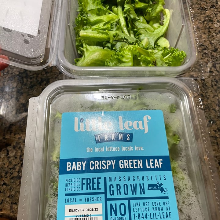 photo of Little Leaf Farms Baby crispy green leaf shared by @karenasp on  14 Aug 2022 - review