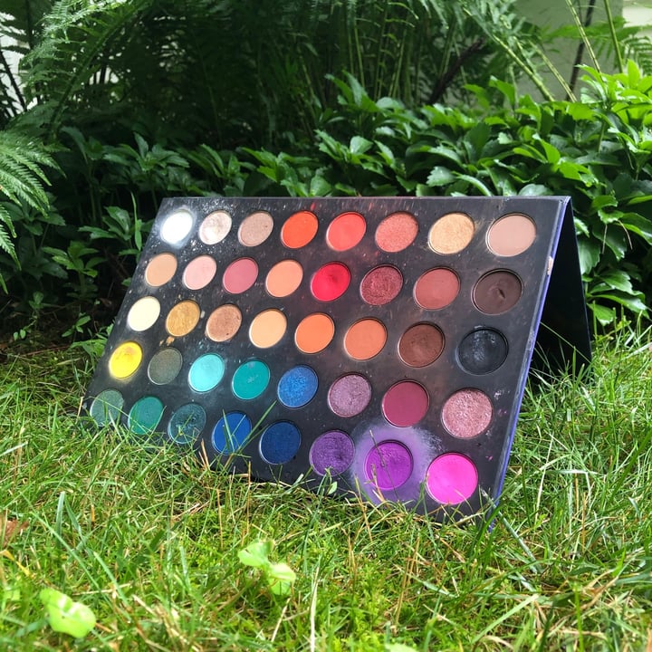 photo of Wet n Wild Beauty 40 Colors Eyeshadow Palette shared by @helpallanimals5238 on  01 Jul 2021 - review