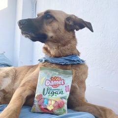 Supermercados Día