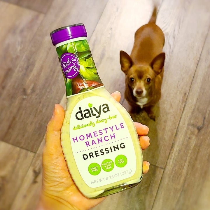 photo of Daiya Homestyle Ranch Dressing shared by @agreene428 on  08 May 2021 - review