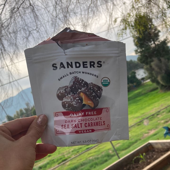 review photo of Sanders Dairy Free/Vegan Dark Chocolate Sea Salt Caramels shared by @mariejane56 on 31 Jan 2022 - review