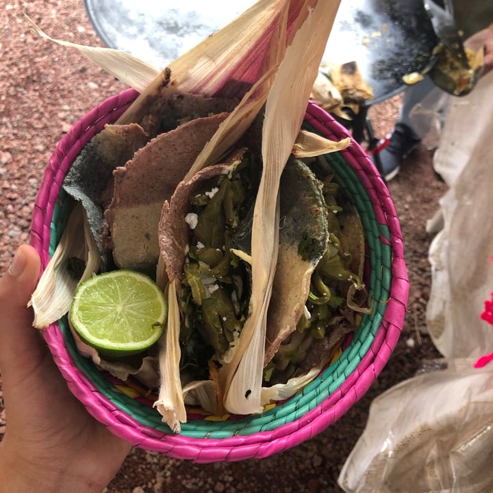 photo of Huerto Roma Verde Tacos shared by @lariscienta on  20 Jul 2021 - review