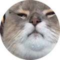@apocalyplease profile image