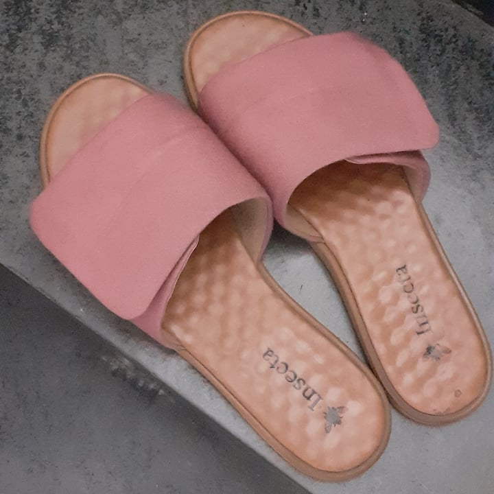 review photo of Insecta Shoes Chinelo shared by @elianechagas on 18 Jun 2022 - review