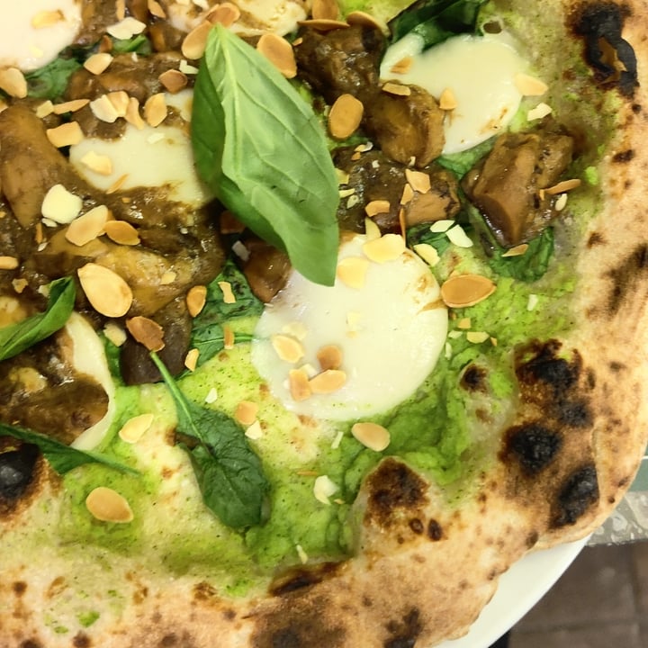 photo of Organic Pizza and Food Pizza con funghi porcini mozzarella vegana e mandorle shared by @alynina on  09 Dec 2022 - review