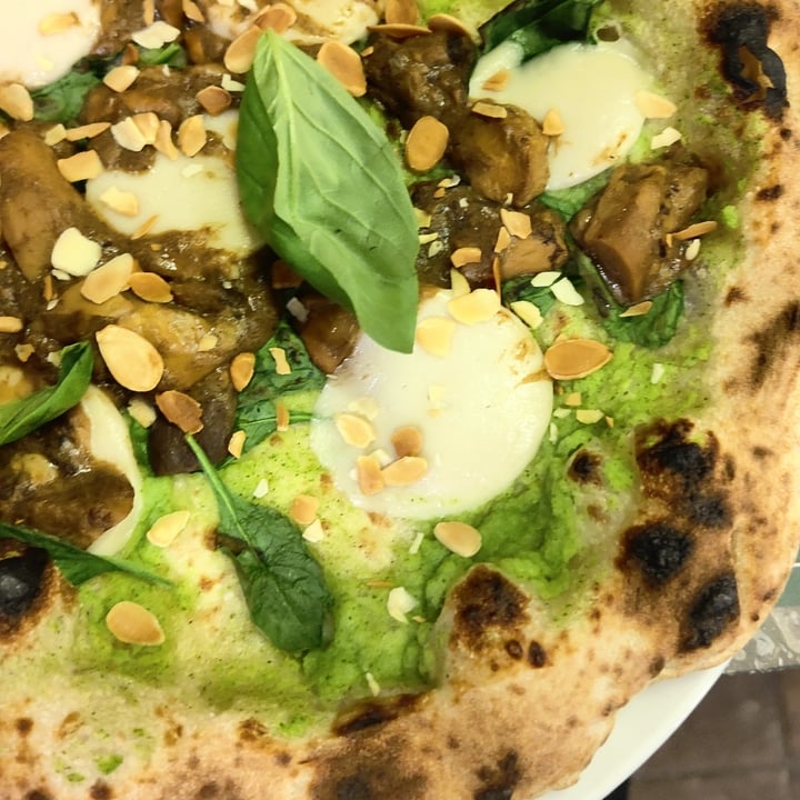 review photo of Organic Pizza and Food Pizza con funghi porcini mozzarella vegana e mandorle shared by @alynina on 09 Dec 2022 - review