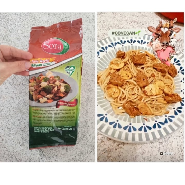 photo of Sora Proteina texturizada de soja, fatia vegetal multigrãos 125g shared by @vanessaaconc on  13 May 2022 - review