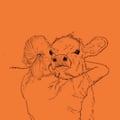 viiheco @viiheco profile image
