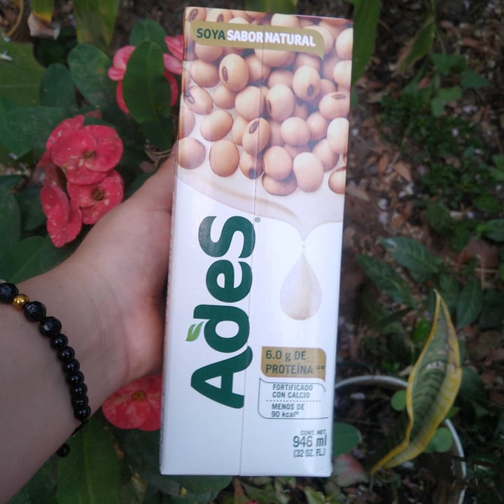 photo of Ades Alimento Liquido De Soya shared by @strawberryswhitkiwis on  27 Jan 2022 - review