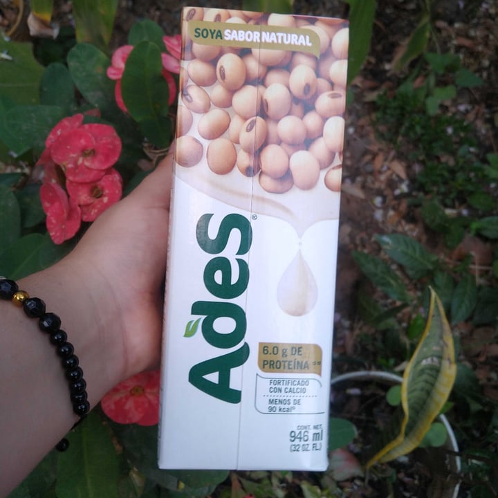 review photo of Ades Alimento Liquido De Soya shared by @strawberryswhitkiwis on 27 Jan 2022 - review