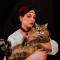 neonyellowcat @neonyellowcat profile image