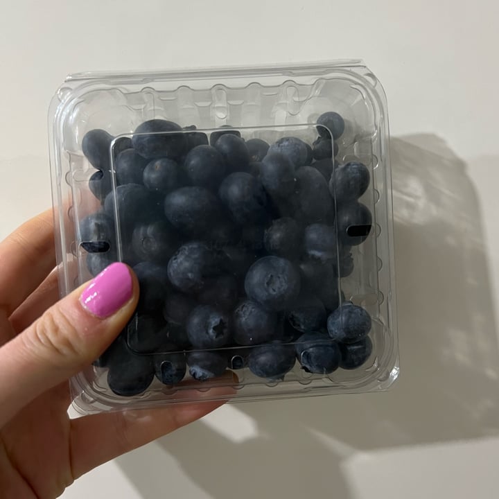 photo of Camposol Blueberries shared by @francineveg on  04 Feb 2022 - review