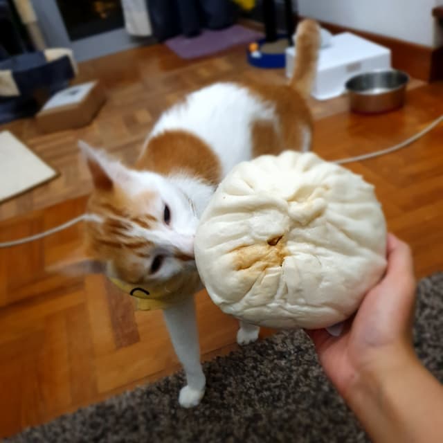 Foto del piatto “Ginormous Char  Siew Bao”