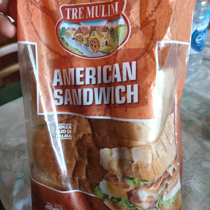 photo of Tre Mulini American sandwich shared by @annalisadanese on  10 Mar 2022 - review