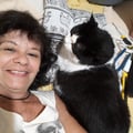 karinaferrer @karinaferrer profile image