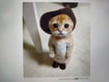 minli @minli profile image