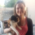 drewitt1990 @drewitt1990 profile image