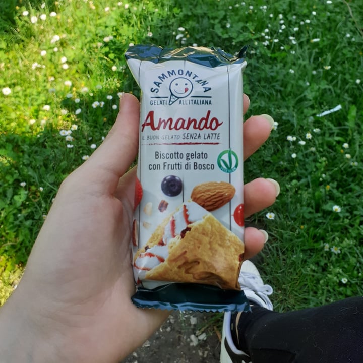 photo of Sammontana Biscotto Amando con Frutti di Bosco shared by @griris on  02 May 2022 - review