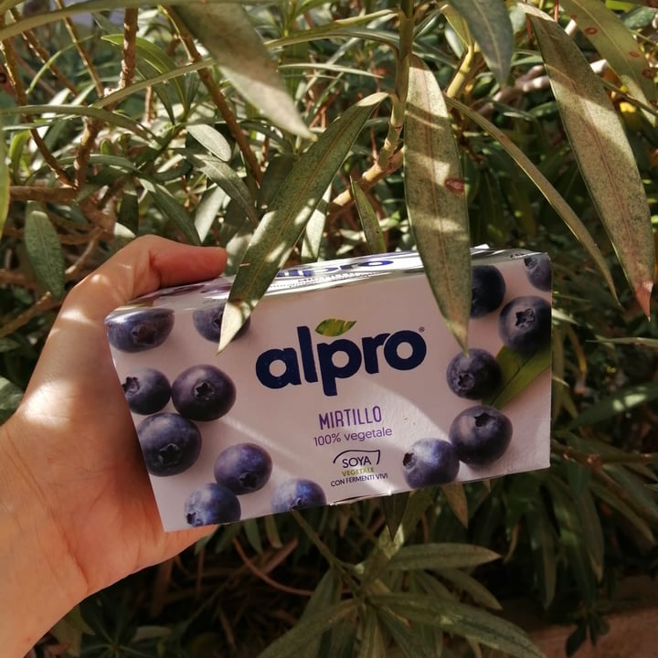 photo of Alpro Yogurt Mirtillo shared by @anthe on  14 Nov 2021 - review