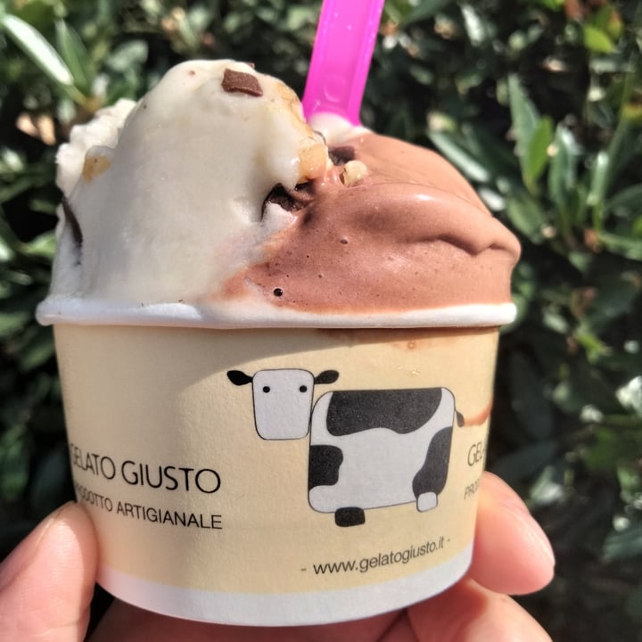 review photo of Gelato Giusto Banana Noci E Cioccolato + Cioccolato shared by @trizziveg on 27 Aug 2022 - review