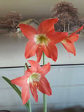 cassiacasadei @cassiacasadei profile image